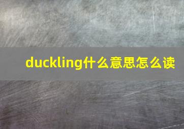 duckling什么意思怎么读