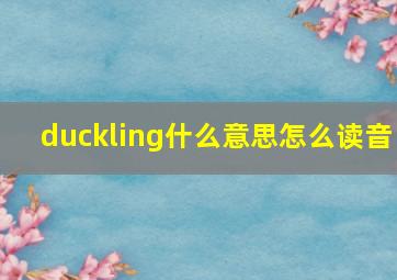 duckling什么意思怎么读音