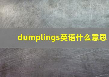 dumplings英语什么意思