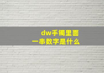 dw手镯里面一串数字是什么