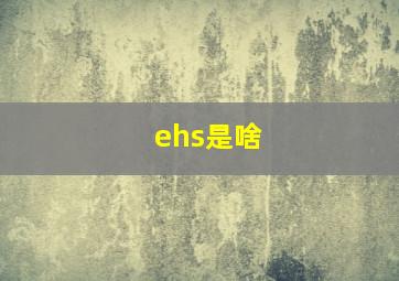 ehs是啥