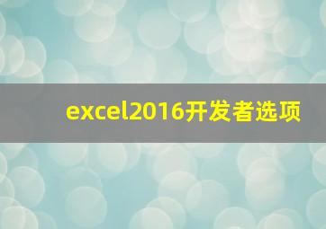 excel2016开发者选项