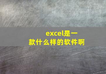 excel是一款什么样的软件啊