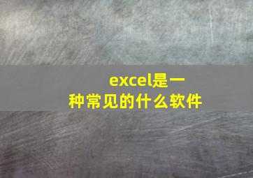 excel是一种常见的什么软件