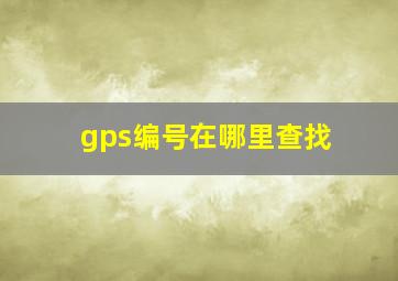 gps编号在哪里查找