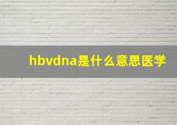 hbvdna是什么意思医学