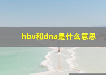 hbv和dna是什么意思