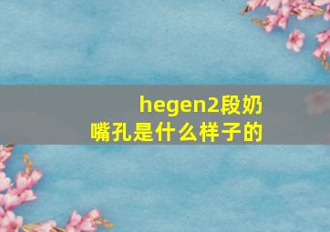 hegen2段奶嘴孔是什么样子的