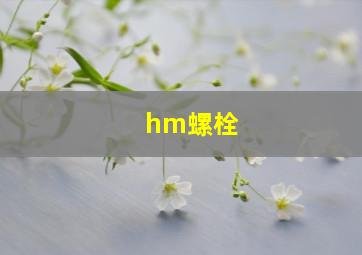 hm螺栓