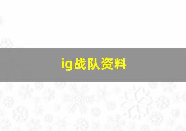 ig战队资料