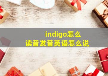 indigo怎么读音发音英语怎么说