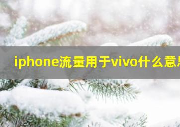 iphone流量用于vivo什么意思