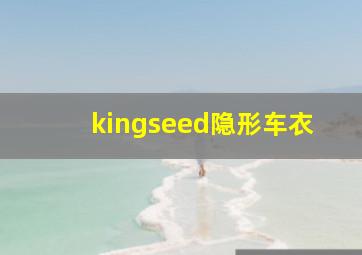 kingseed隐形车衣