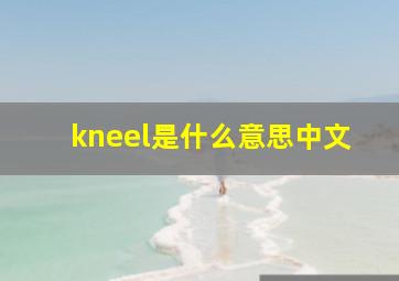 kneel是什么意思中文