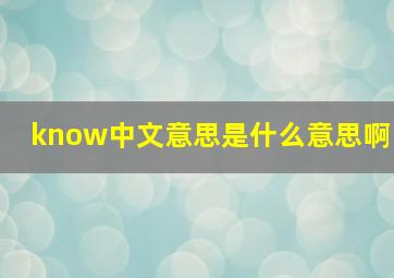 know中文意思是什么意思啊