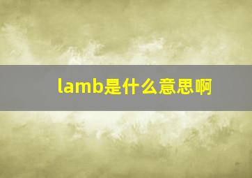 lamb是什么意思啊