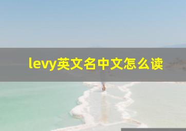 levy英文名中文怎么读