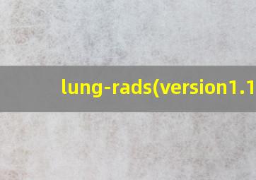 lung-rads(version1.1)