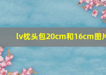 lv枕头包20cm和16cm图片