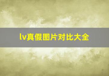 lv真假图片对比大全