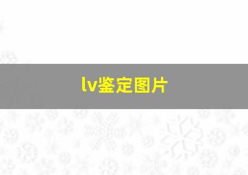 lv鉴定图片