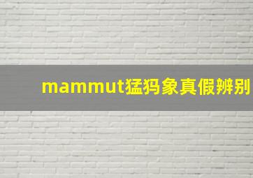 mammut猛犸象真假辨别