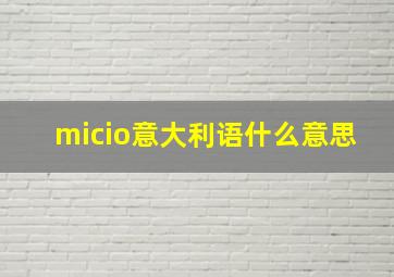 micio意大利语什么意思