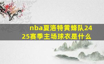 nba夏洛特黄蜂队2425赛季主场球衣是什么