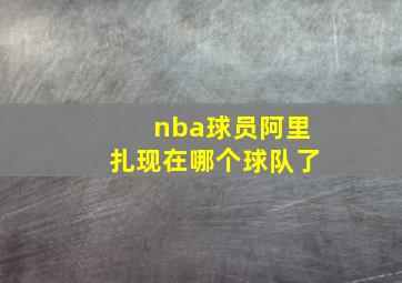 nba球员阿里扎现在哪个球队了