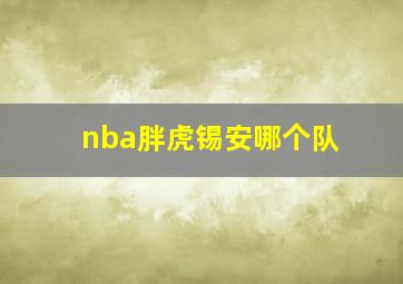 nba胖虎锡安哪个队