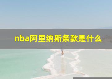 nba阿里纳斯条款是什么