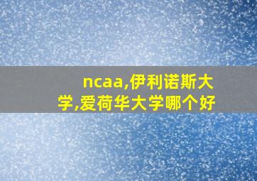 ncaa,伊利诺斯大学,爱荷华大学哪个好