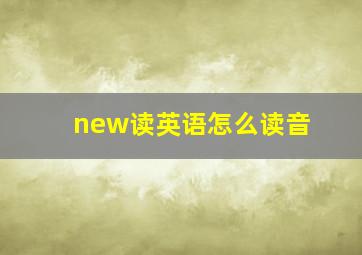 new读英语怎么读音