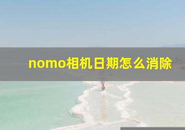 nomo相机日期怎么消除