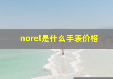 norel是什么手表价格