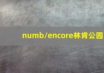 numb/encore林肯公园