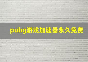 pubg游戏加速器永久免费