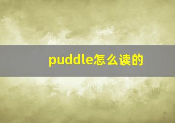 puddle怎么读的