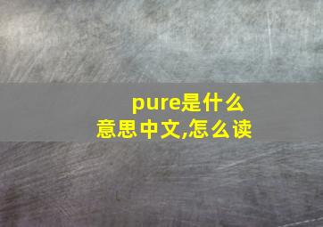 pure是什么意思中文,怎么读