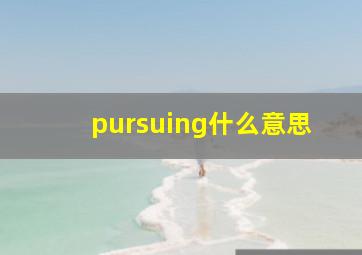 pursuing什么意思