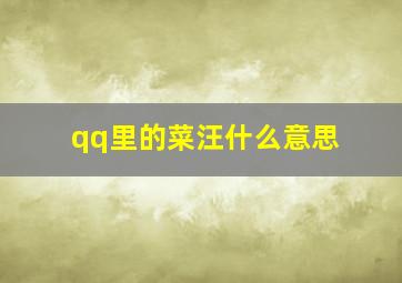 qq里的菜汪什么意思