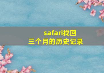 safari找回三个月的历史记录