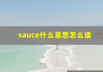 sauce什么意思怎么读