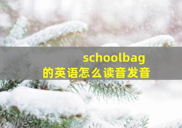 schoolbag的英语怎么读音发音