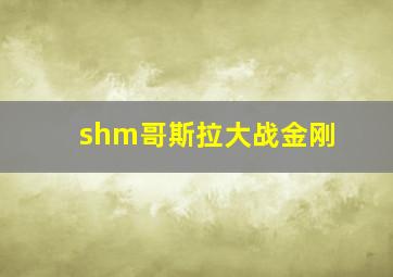 shm哥斯拉大战金刚