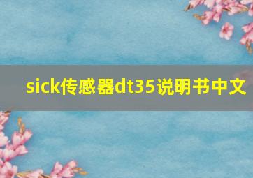 sick传感器dt35说明书中文