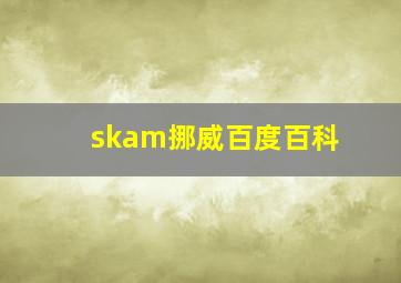 skam挪威百度百科