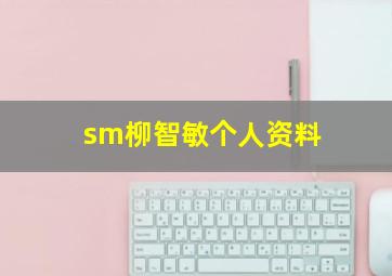 sm柳智敏个人资料