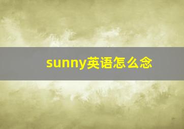 sunny英语怎么念