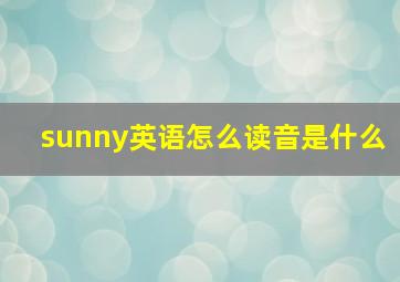 sunny英语怎么读音是什么